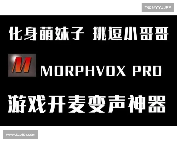 使用MorphVox Pro实现语音变换指南 使用MorphVox Pro实现语音变换指南