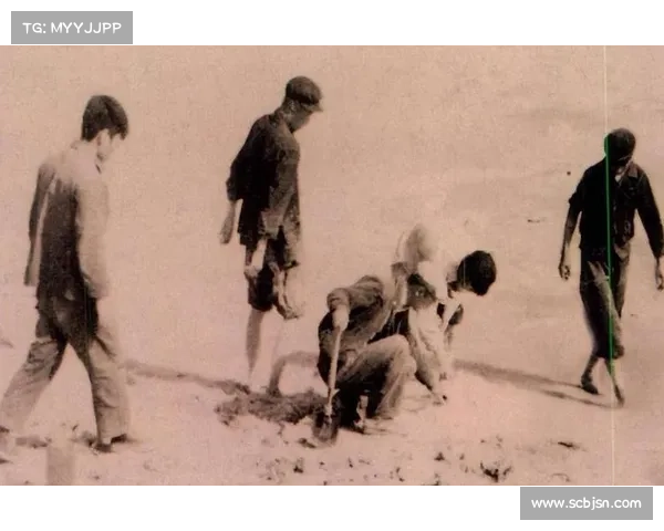 揭秘《暗影圣域》五大未解之谜 揭开隐藏在黑暗中的秘密真相