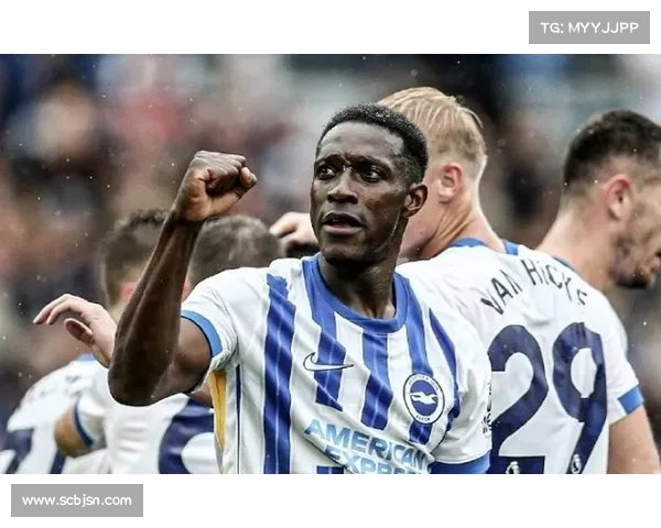 从维尔贝克到黑贝一段名字演变背后的文化与时代记忆