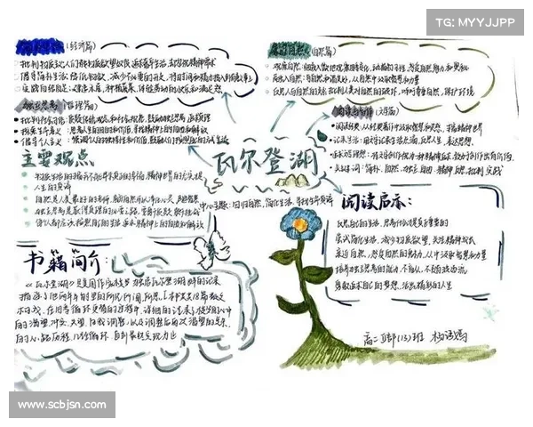 从绰号黑贝解读维尔贝克文学形象及其文化隐喻生成机制探析路径考