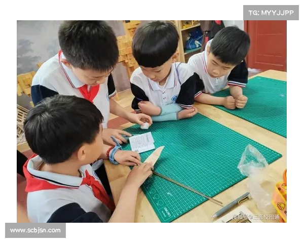 探究巴舒亚伊使用语言的途径与方法分析